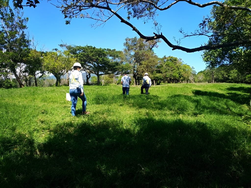 Servicio de auditoría ambiental Samaniego Consultores